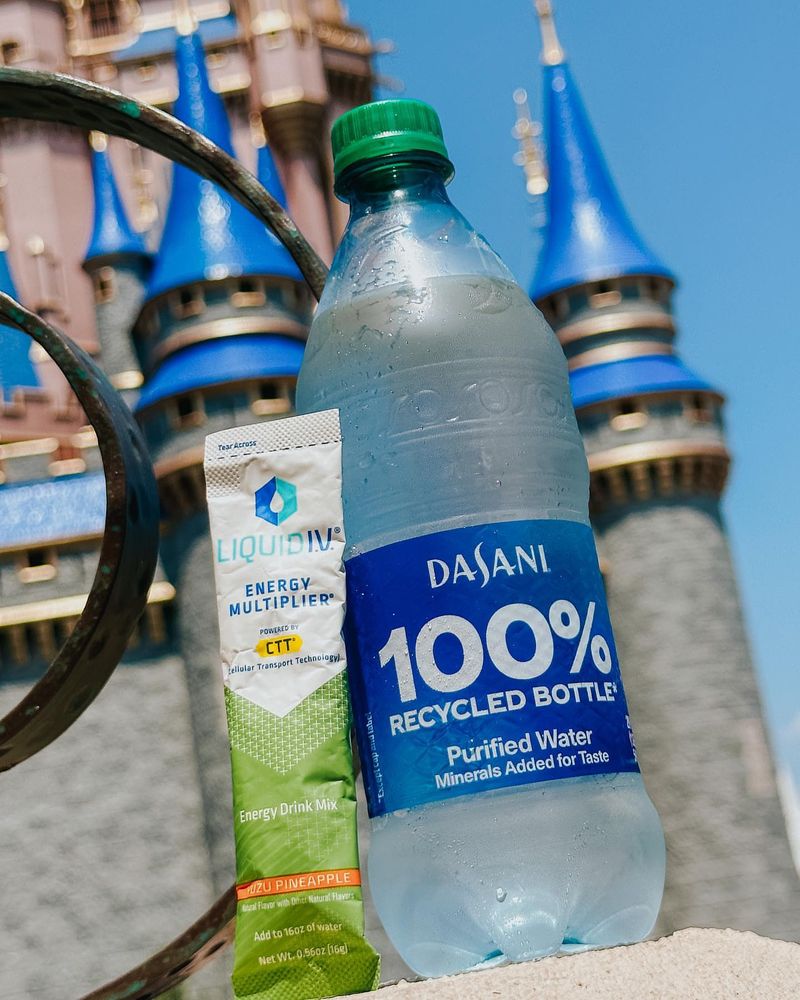 Pack Snacks and Stay Hydrated