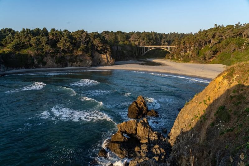 Jug Handle State Natural Reserve
