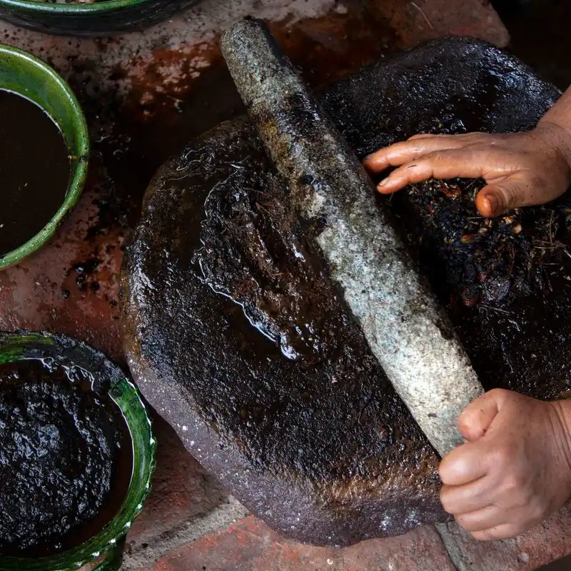 Taste Mole in Oaxaca