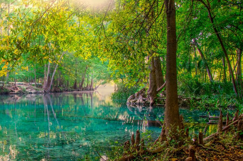 Everglades National Park