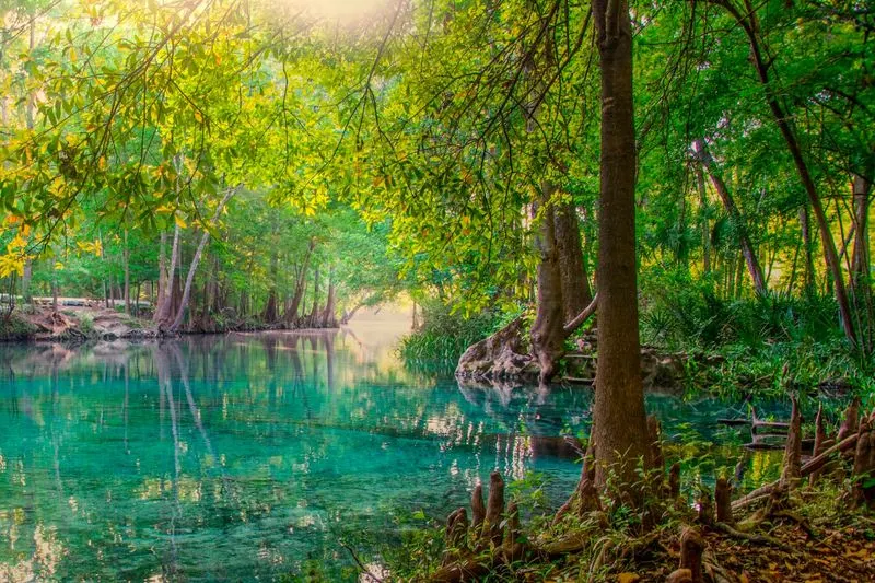 Everglades National Park