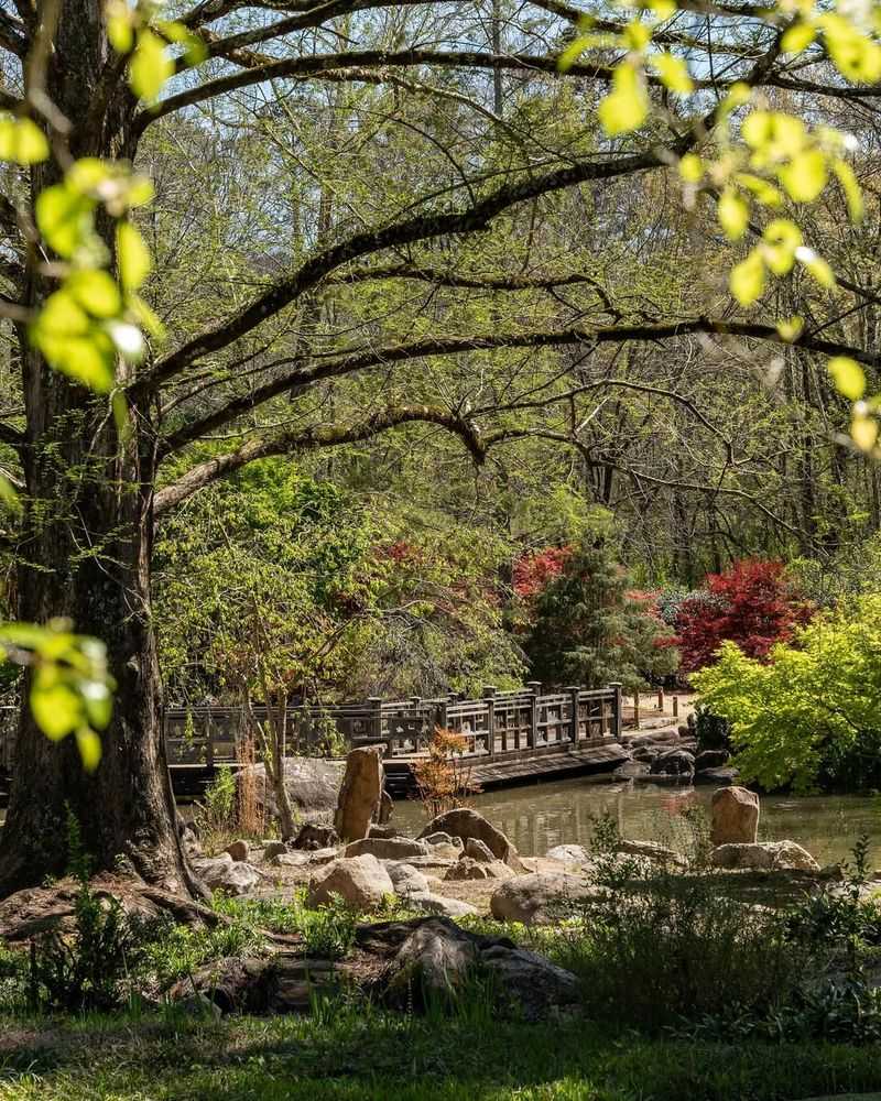 Visit the Birmingham Botanical Gardens