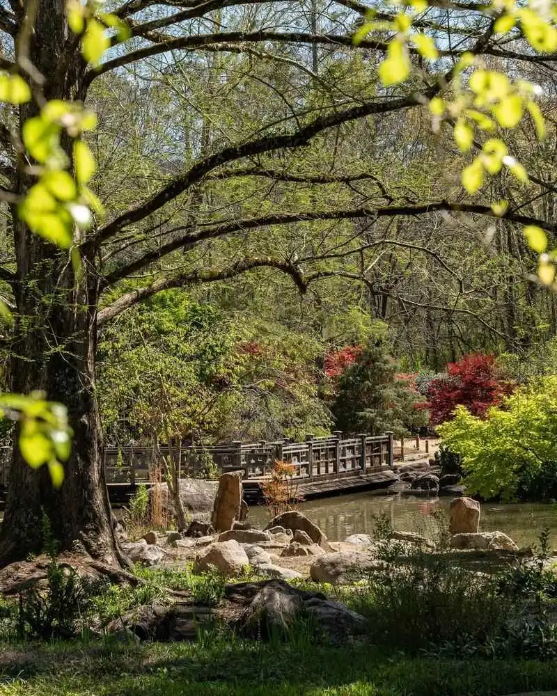 Visit the Birmingham Botanical Gardens