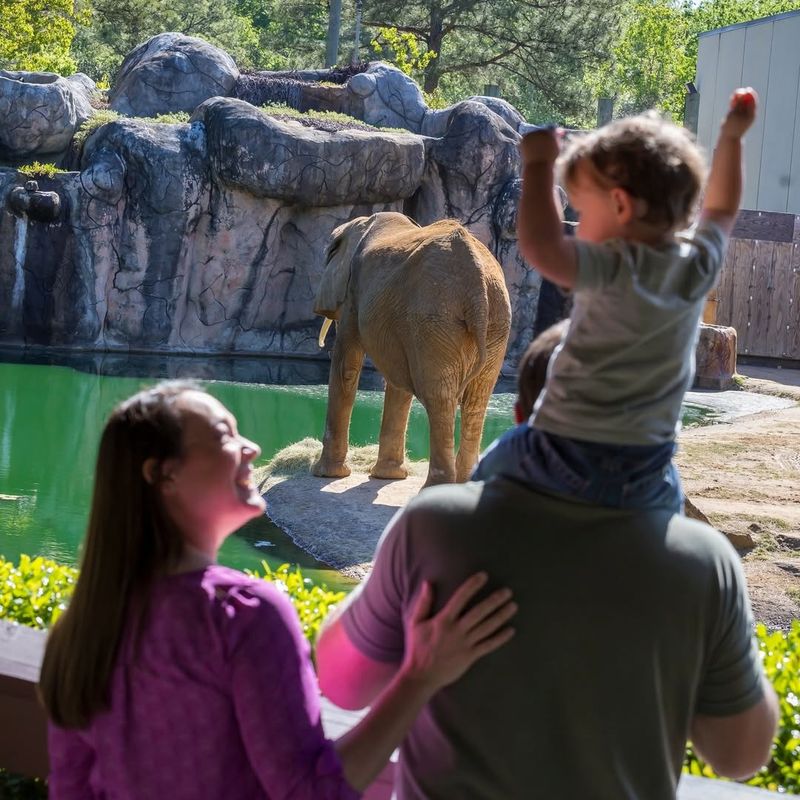 Meet Animals at Montgomery Zoo