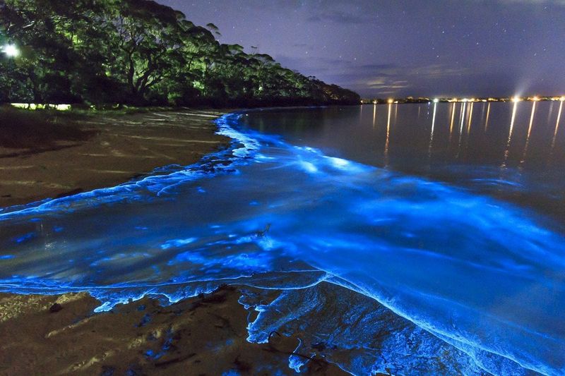 Swim in the Luminous Lagoon