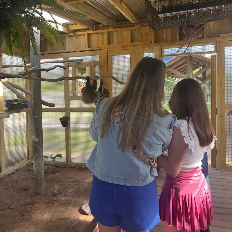 Tour the Alabama Gulf Coast Zoo