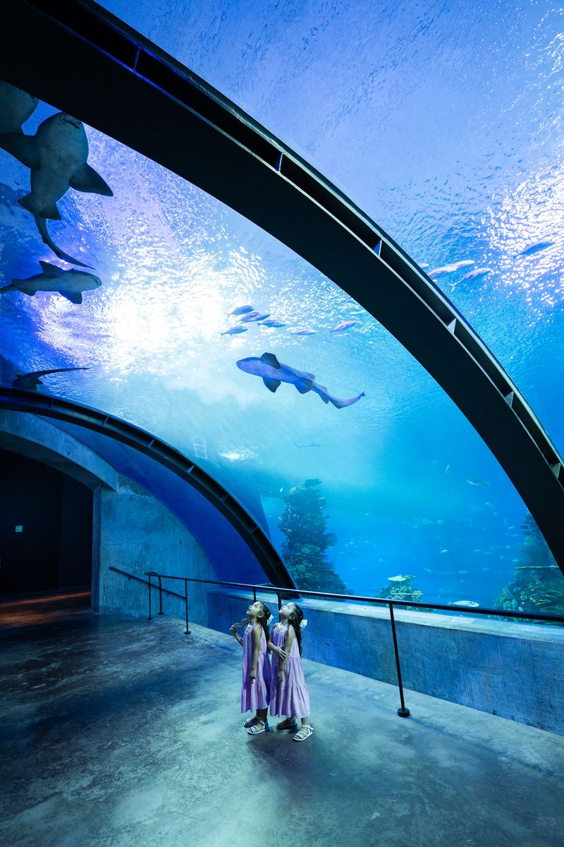 Visit the Mazatlán Aquarium Botanic Garden
