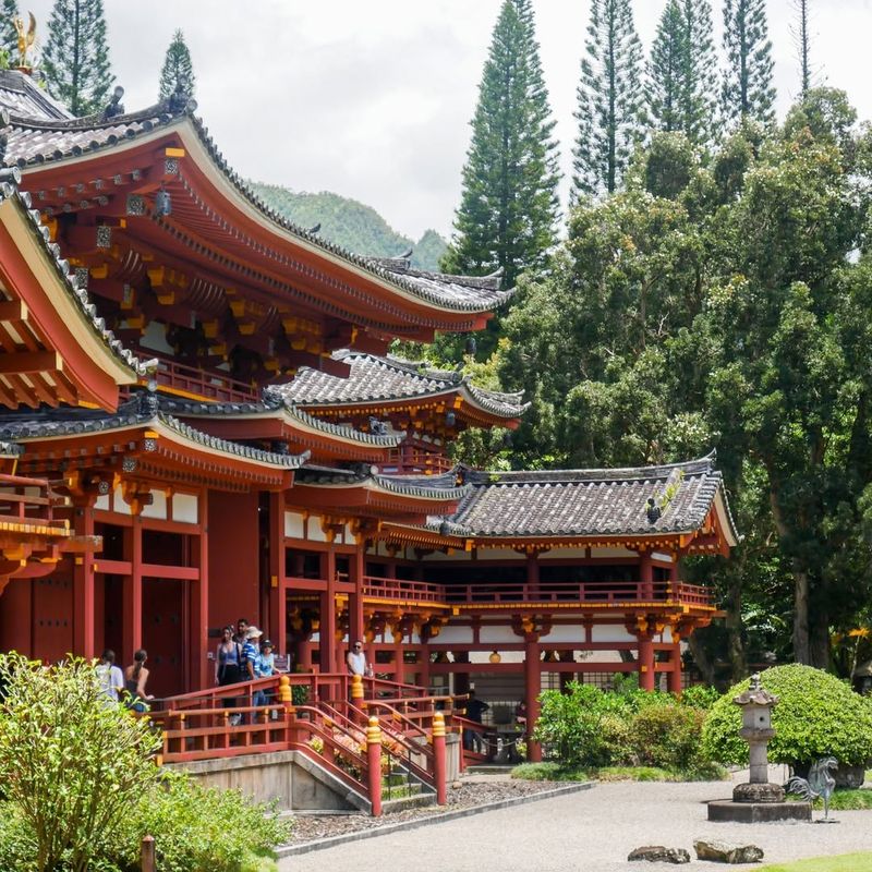 Cultural Immersion in Japan