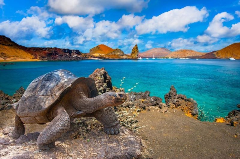 Galápagos Islands, Ecuador