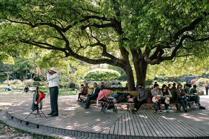 The Unexpected Beauty of Public Parks