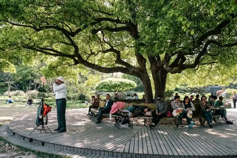 The Unexpected Beauty of Public Parks
