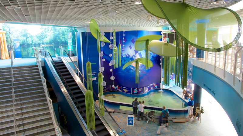 Florida Aquarium