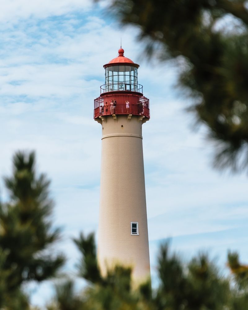 Cape May Point State Park, New Jersey