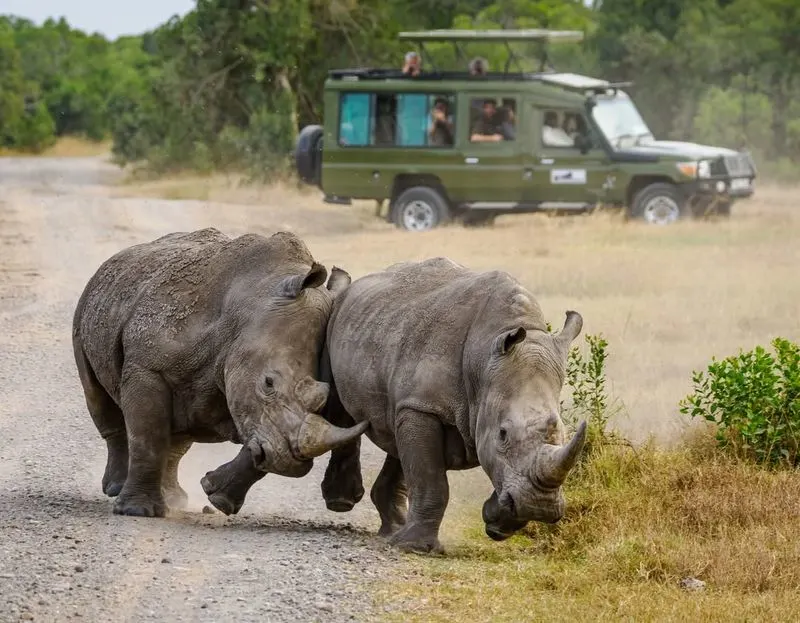 African Safari in Kenya