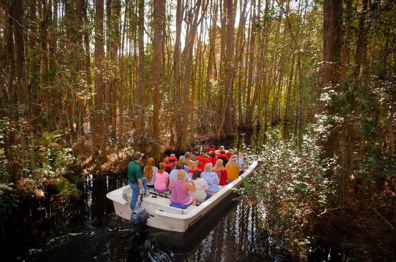 Okefenokee Swamp