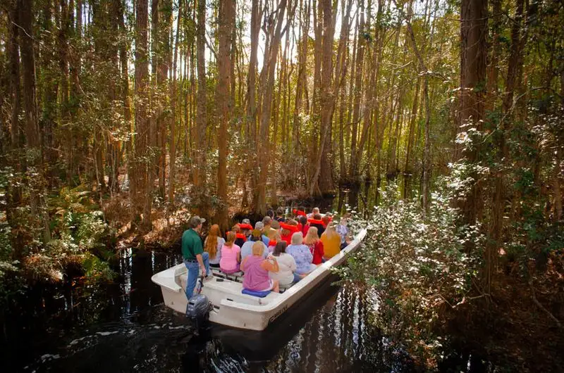 Okefenokee Swamp