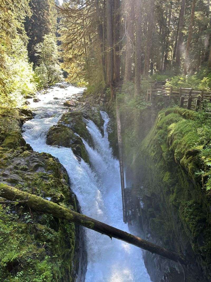 Olympic National Park