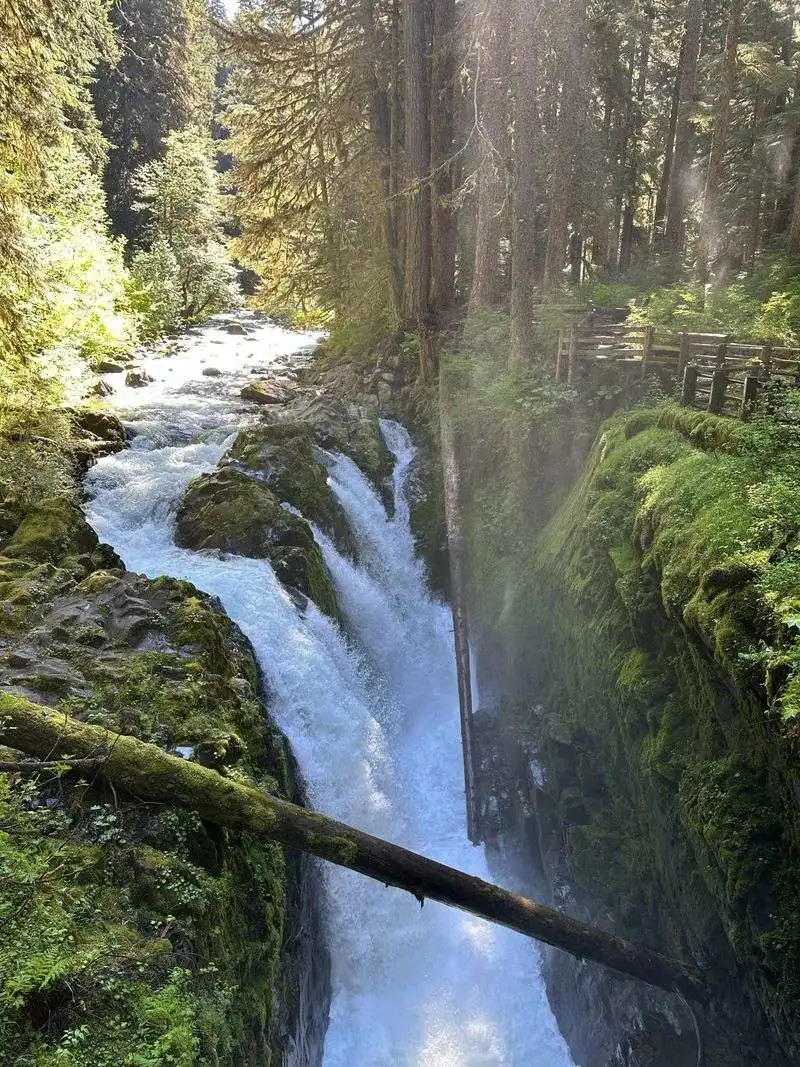 Olympic National Park