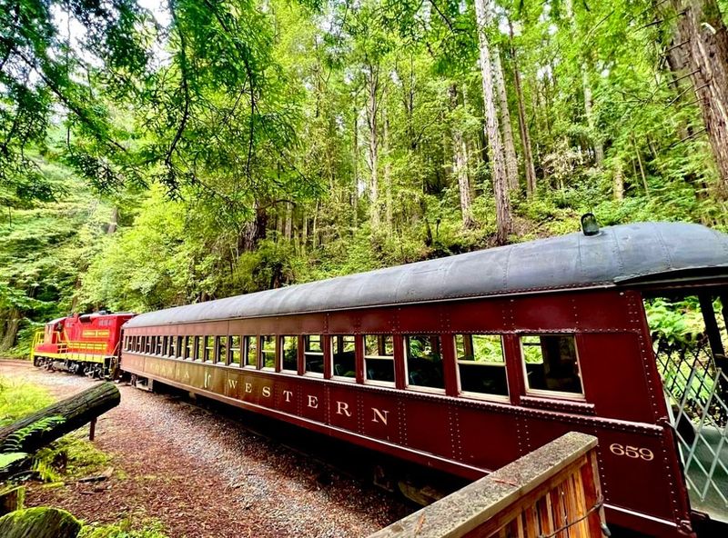 Skunk Train