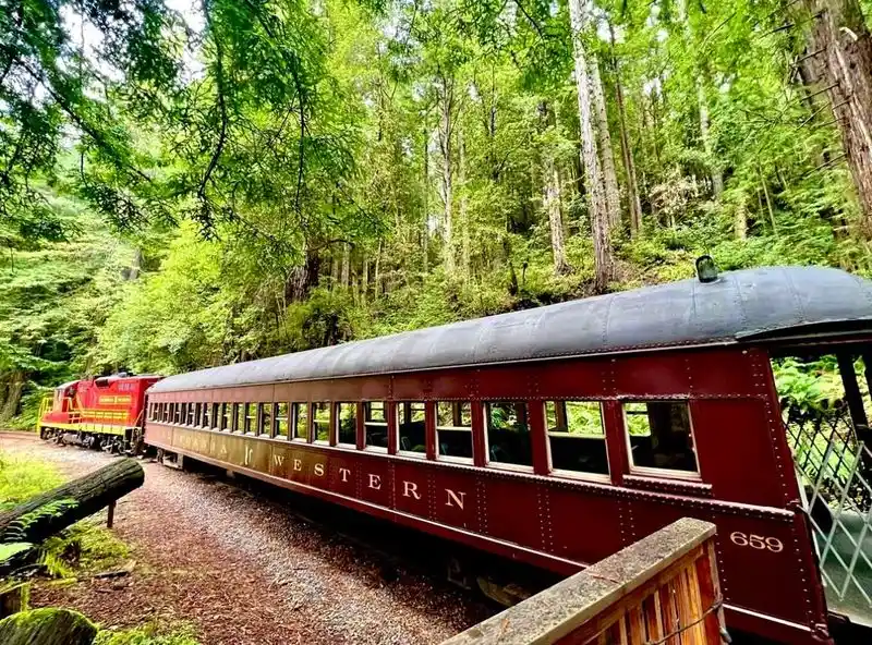Skunk Train