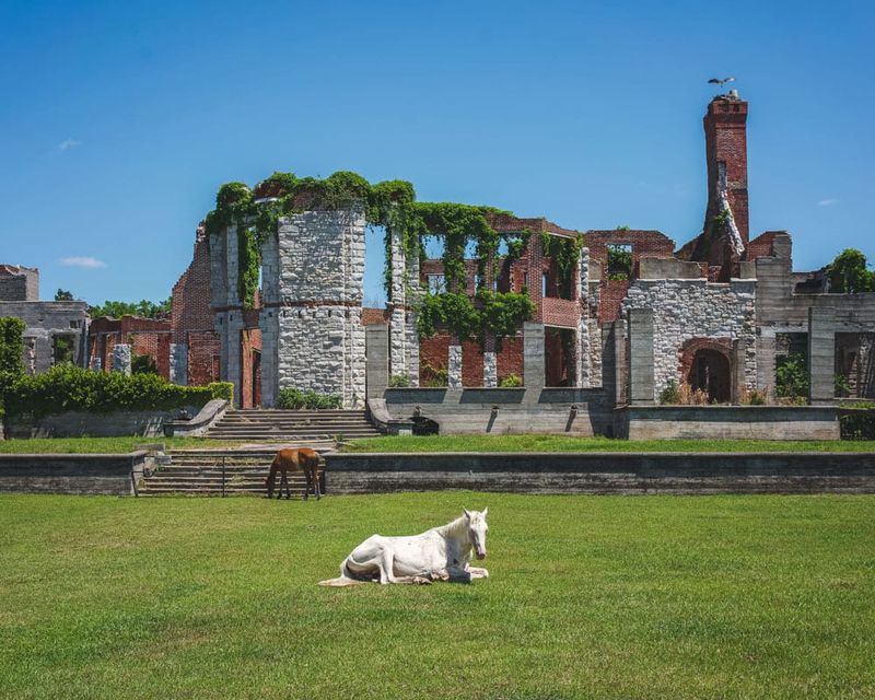 Cumberland Island, Georgia