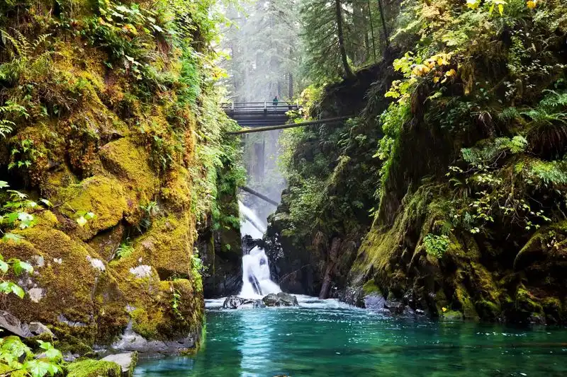 Olympic National Park
