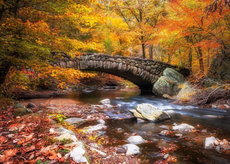 Rock Creek Park, Washington D.C.