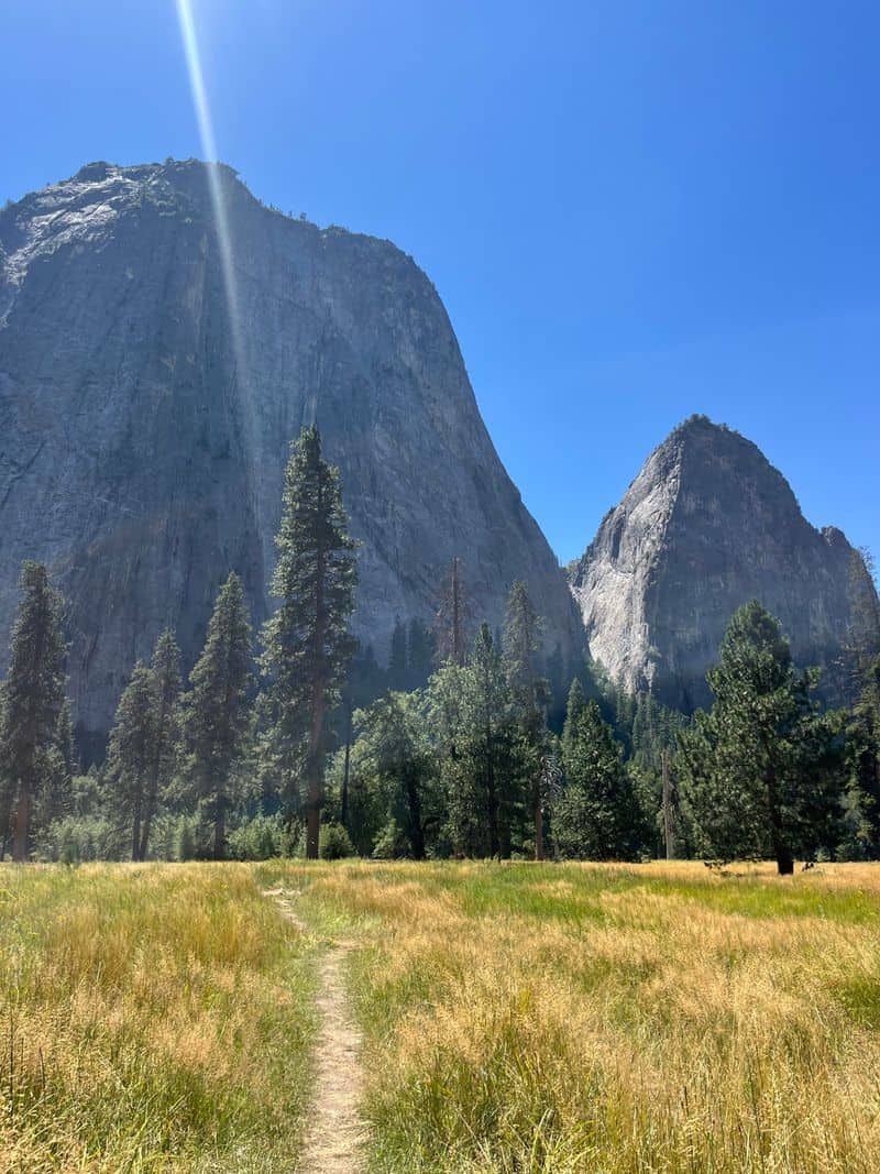 El Capitan Meadow