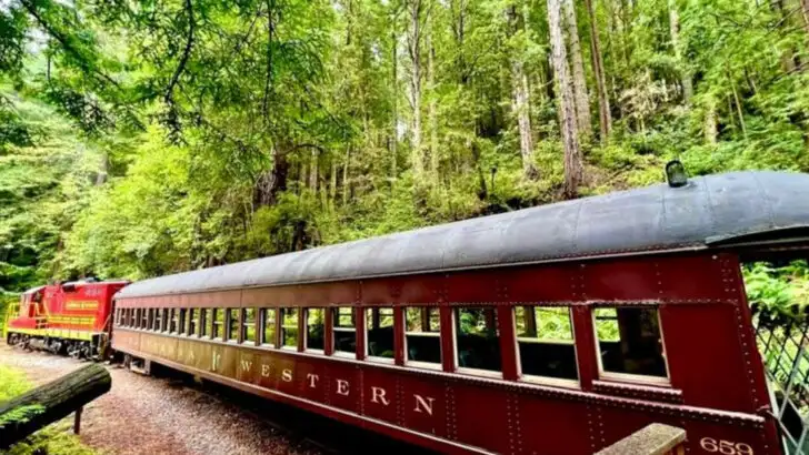 Hidden On California’s Coast Is An Underrated Little Artsy Town Full Of Redwoods And Shops