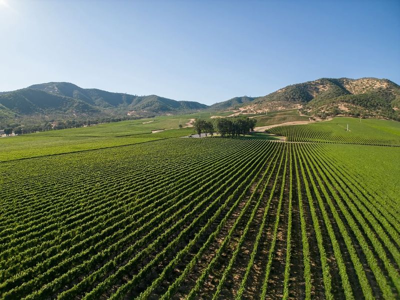 Willamette Valley Wine Country