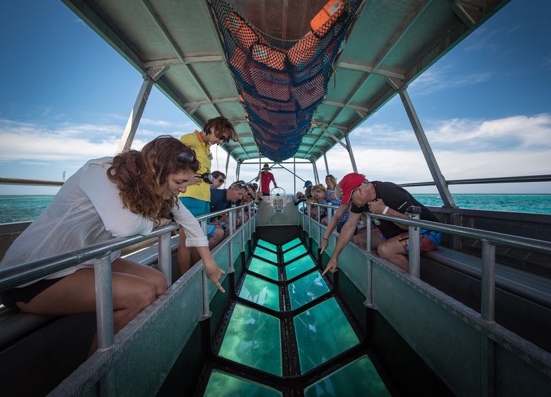 Glass-Bottom Boat Tour