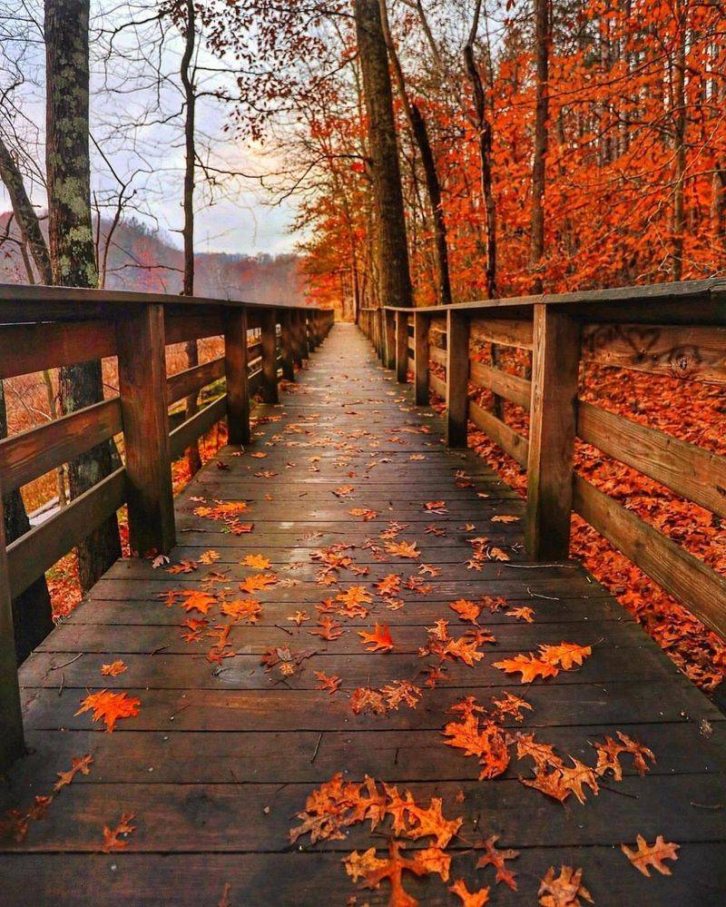 Brown County State Park