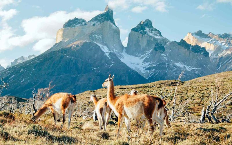 Patagonia, Argentina/Chile