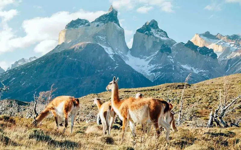 Patagonia, Argentina/Chile