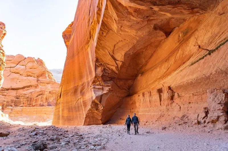 Wire Pass Trail