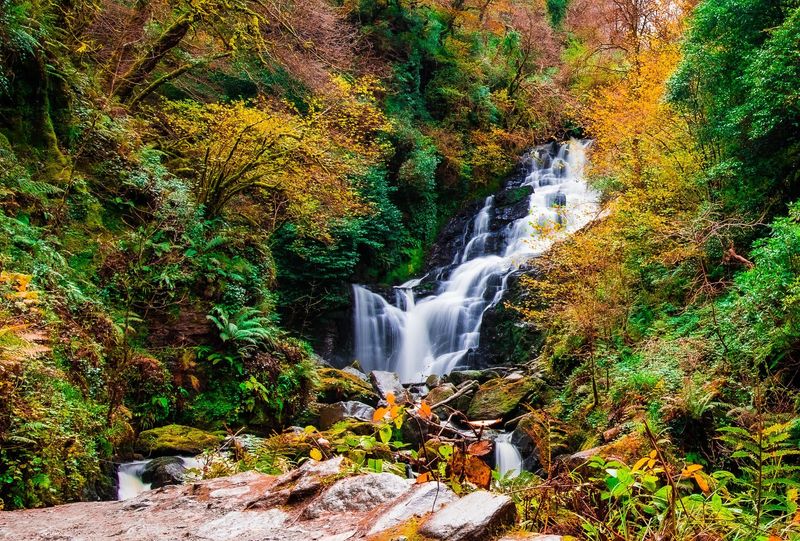 Killarney National Park