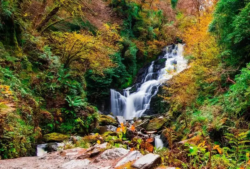 Killarney National Park