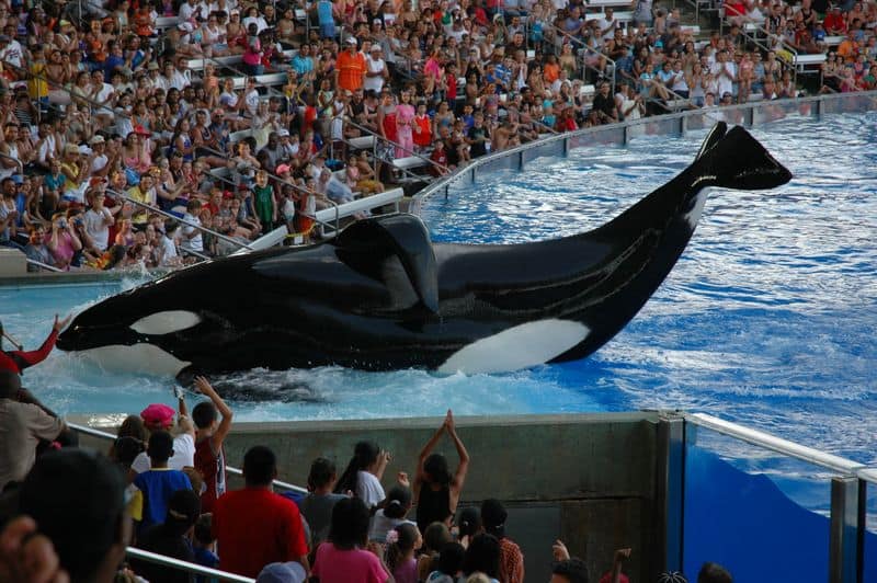 SeaWorld Orlando, Florida