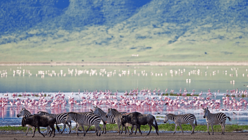 Ngorongoro Crater, Tanzania