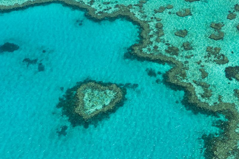 Great Barrier Reef, Australia