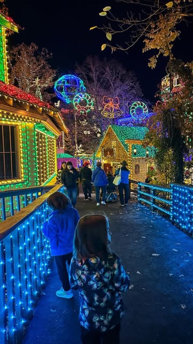 Branson's Silver Dollar City