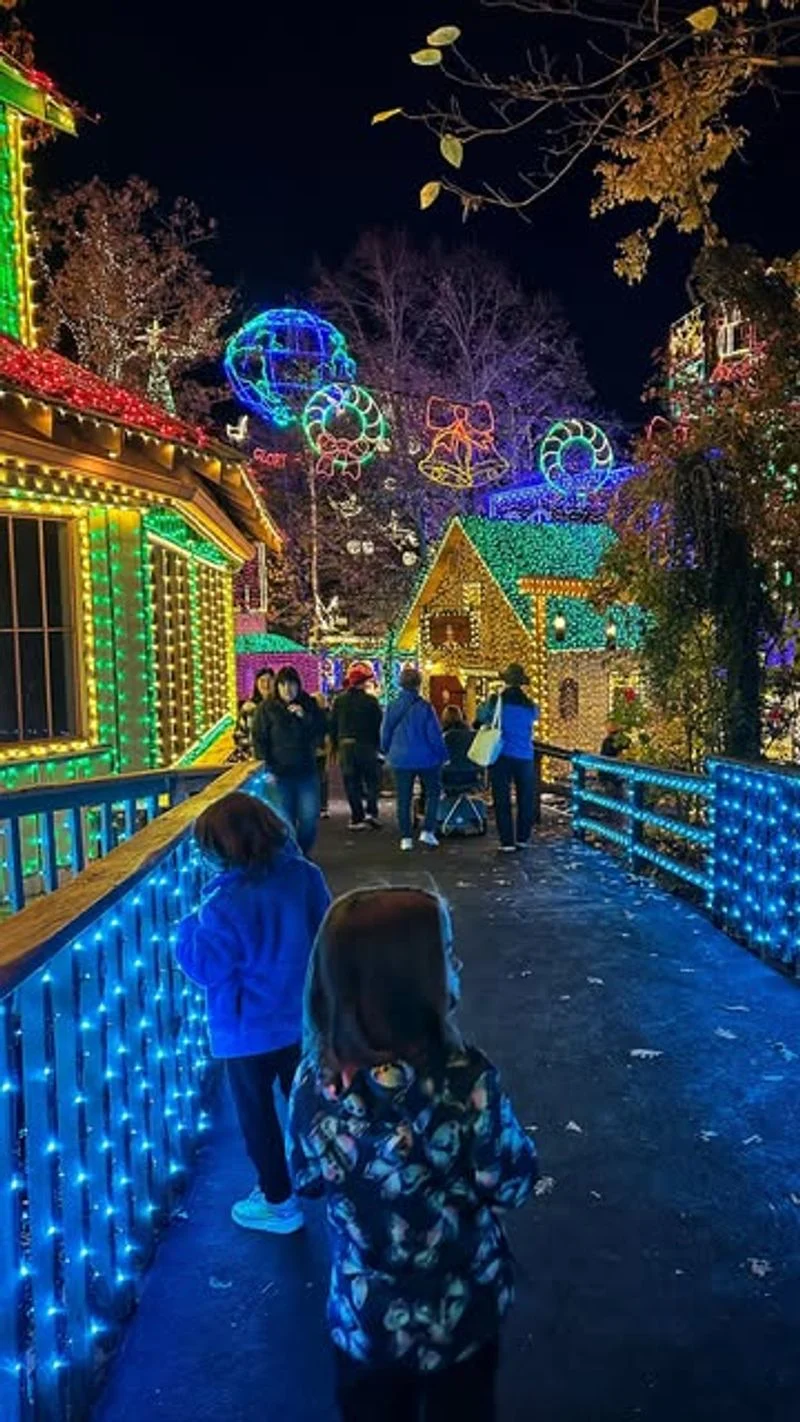 Branson's Silver Dollar City