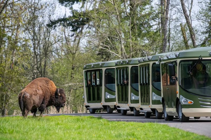 Northwest Trek Wildlife Park