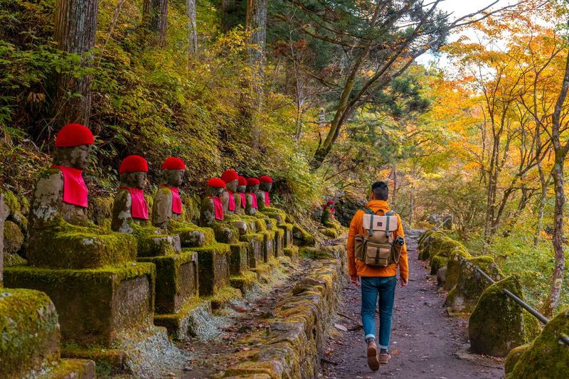 Enjoy Nature Trails