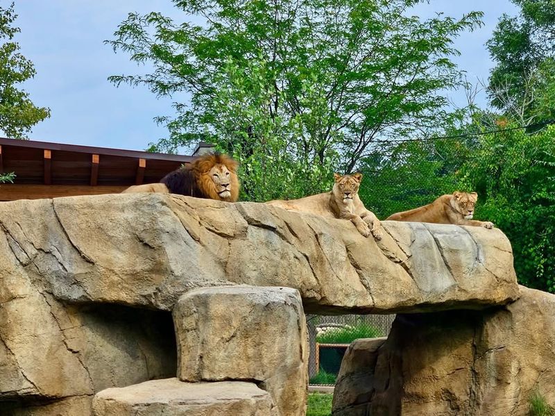 Potawatomi Zoo