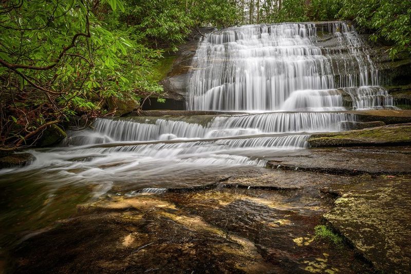 Pisgah National Forest