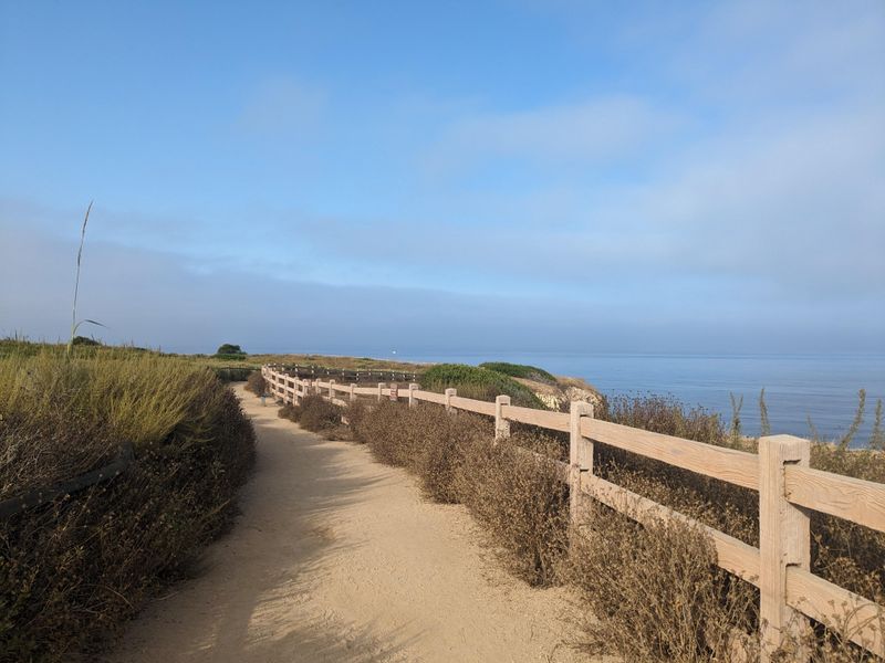 Secret Seaside Trails