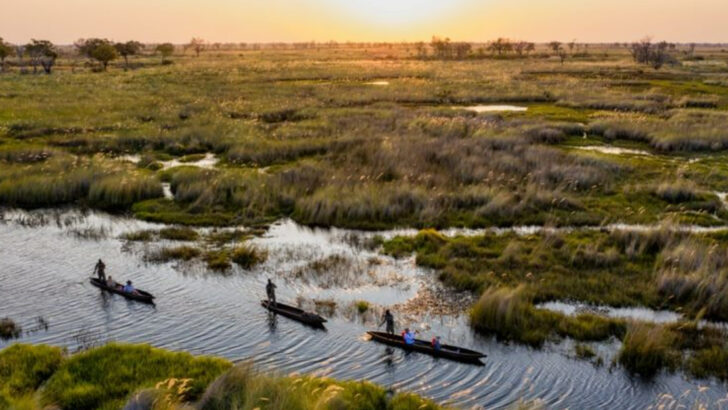 Looking for the ultimate safari? Start with these 13 destinations
