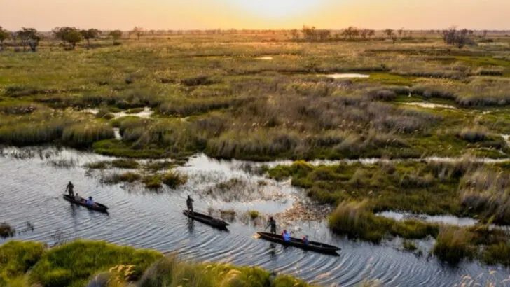 Looking for the ultimate safari? Start with these 13 destinations