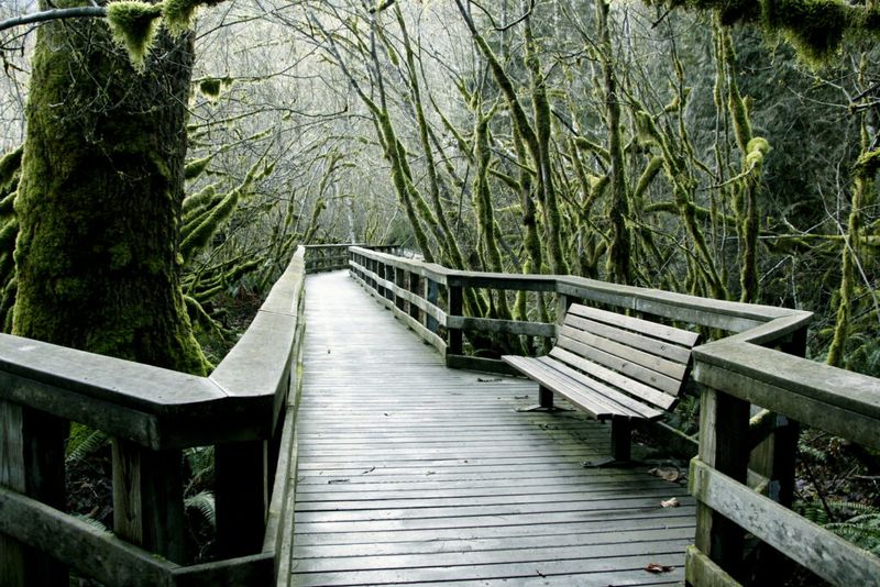 Wildwood Recreation Site